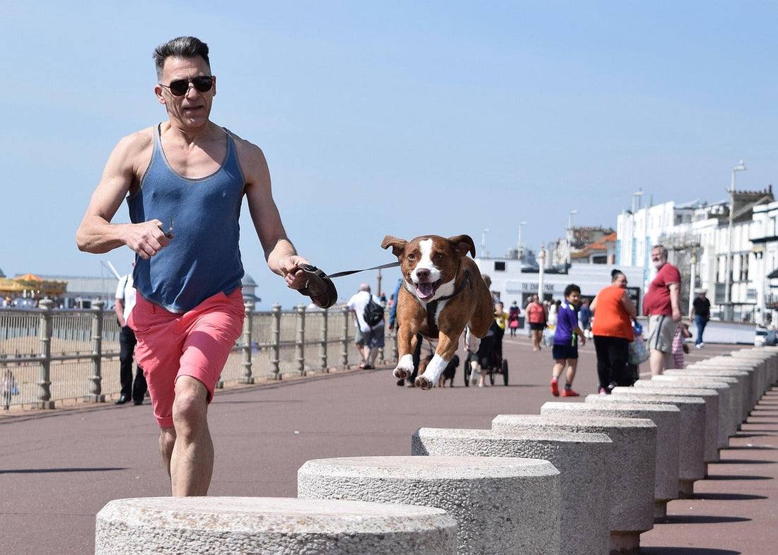 Possedere un cane allunga la vita? Evidenze scientifiche su salute cardiovascolare, attività fisica e benessere psicologico